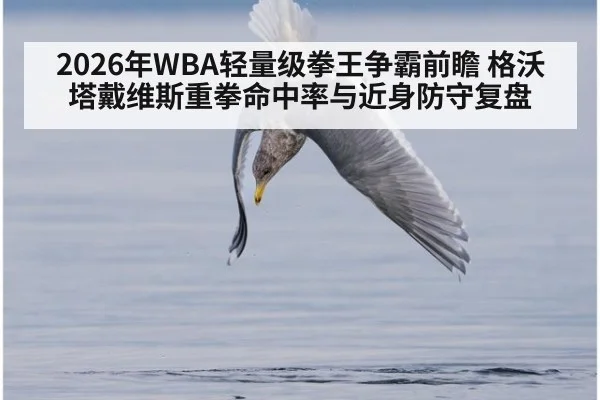 2026年WBA轻量级拳王争霸前瞻 格沃塔戴维斯重拳命中率与近身防守复盘