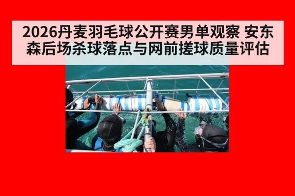 2026丹麦羽毛球公开赛男单观察 安东森后场杀球落点与网前搓球质量评估